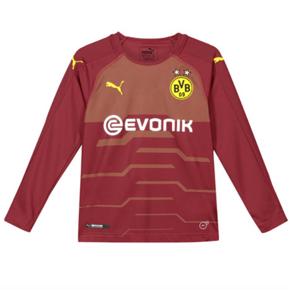 dortmund goalkeeper kit