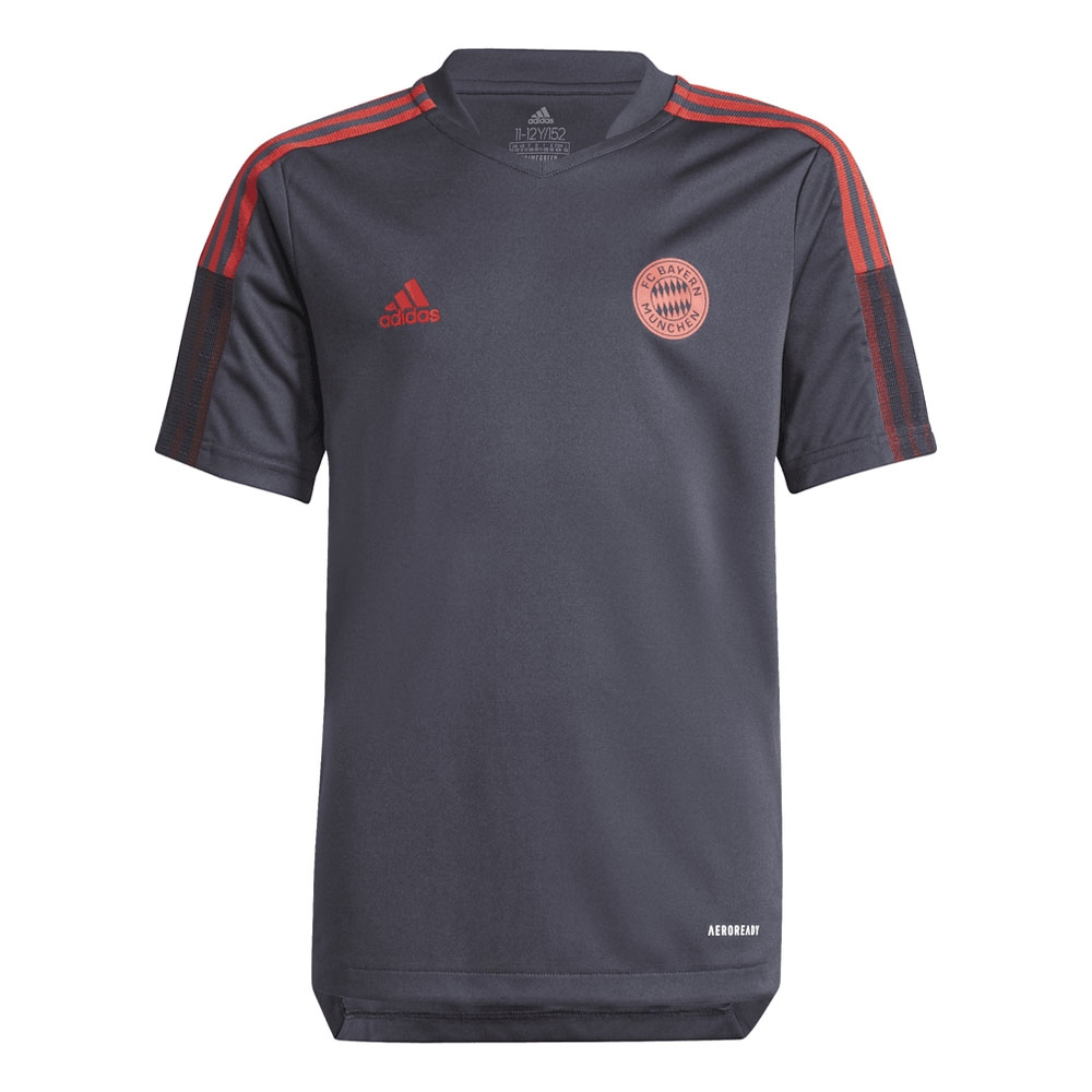 grey bayern munich shirt