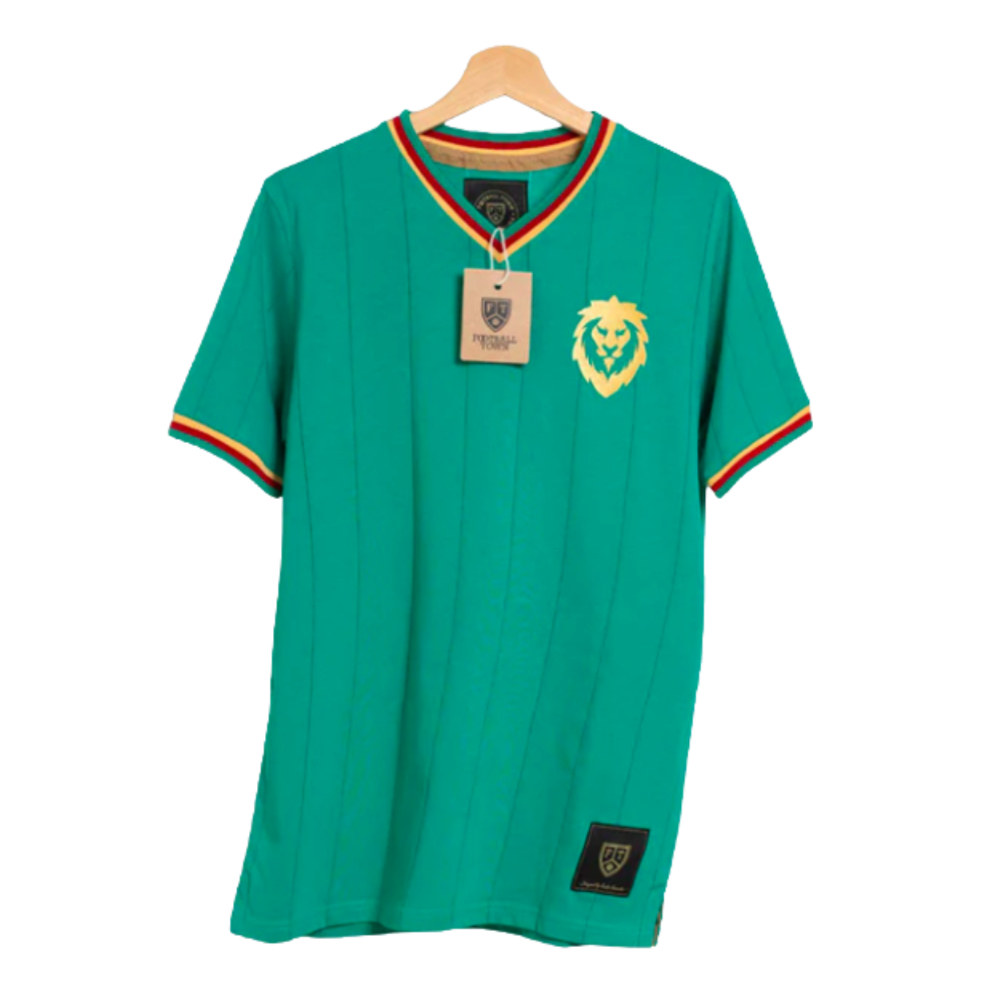 Lions football shirt online